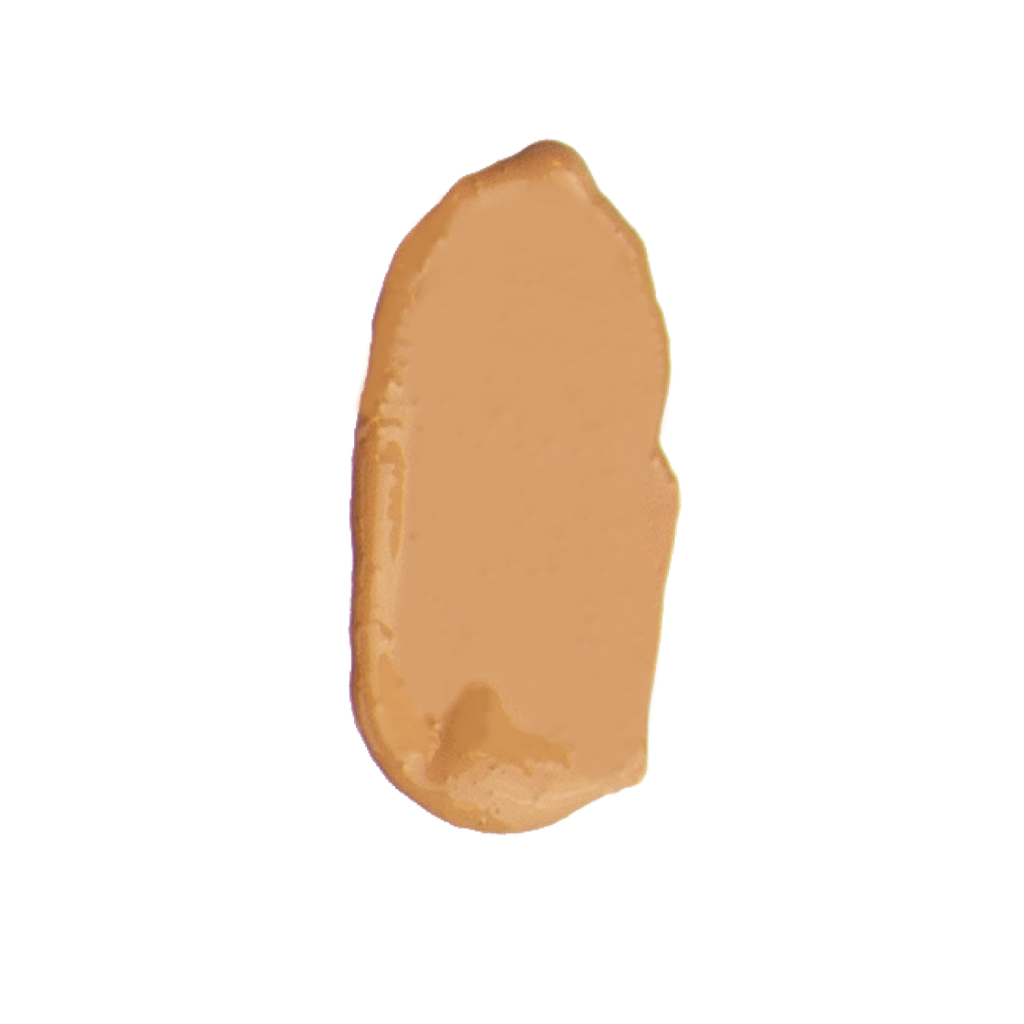 Anne T. Dote Tinted Moisturizer C4